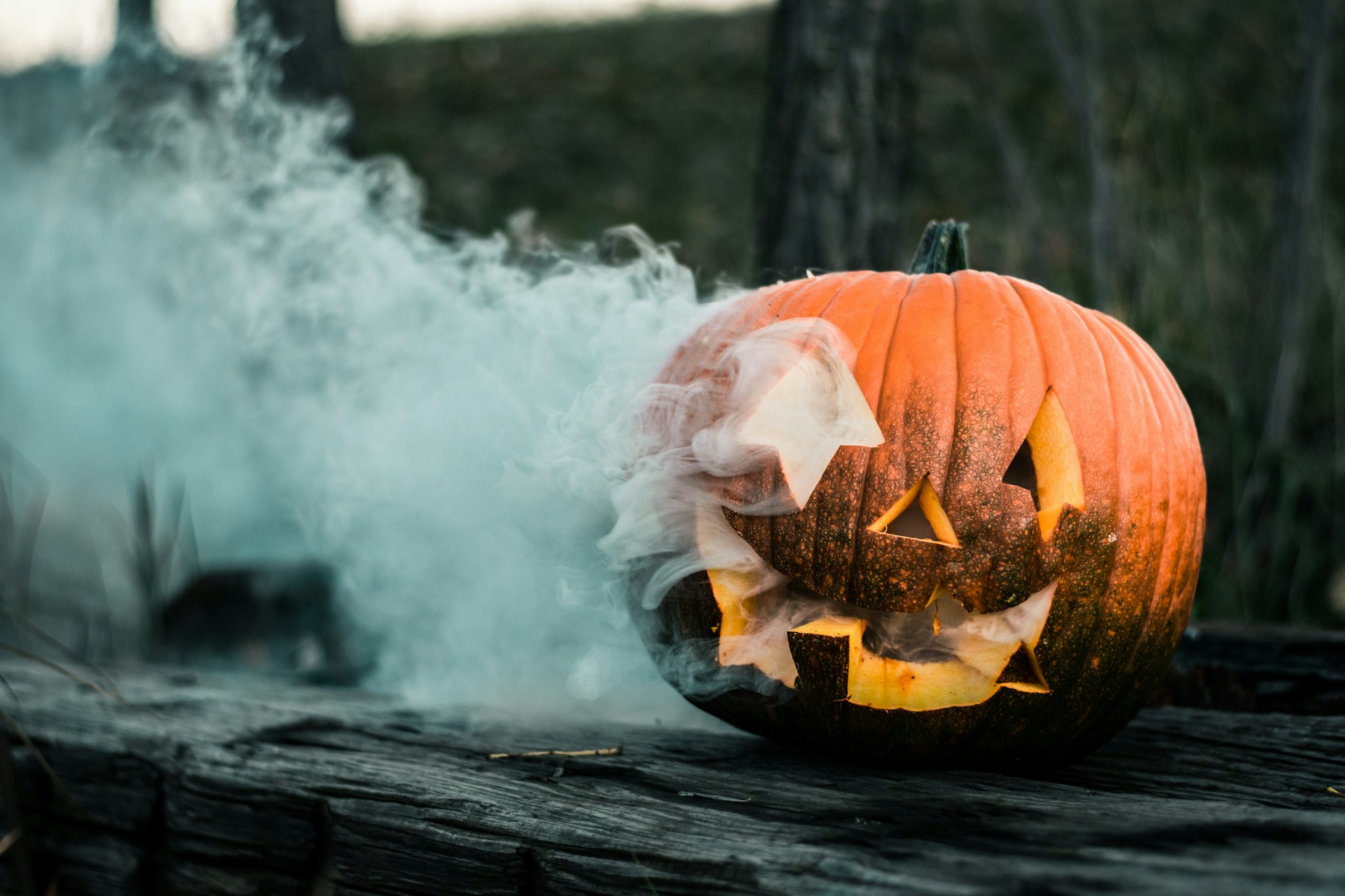 halloween decoratie vinden